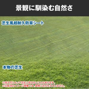 国華園 防草シート 0.5m×50m 農用シー...の詳細画像5