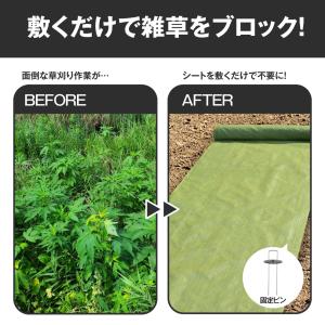 国華園 防草シート 1m×50m 農用シート ...の詳細画像1