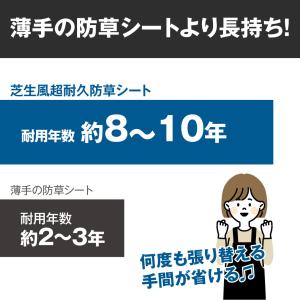 国華園 防草シート 1m×50m 農用シート ...の詳細画像2