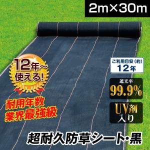 国華園 超耐久防草シート・黒 2m×30m 1巻...の商品画像