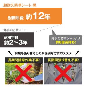 国華園 超耐久防草シート・黒 2m×30m 1...の詳細画像5