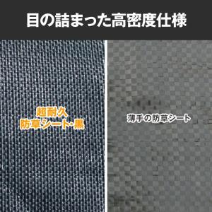 国華園 超耐久防草シート・黒 2m×30m 1...の詳細画像4