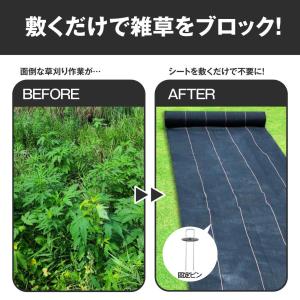 国華園 超耐久防草シート・黒 2m×30m 1...の詳細画像3