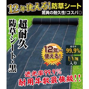 防草シート 1m×50m 農用シート 除草 雑...の詳細画像1