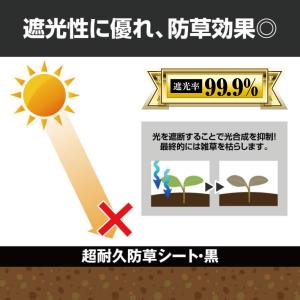 防草シート 1m×50m 農用シート 除草 雑...の詳細画像5