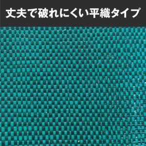 防草シート 1m×50m 農用シート 除草 雑...の詳細画像4