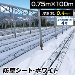 防草シート 0.75m×50m 農用シート 草よけ 除草 遮熱 地熱 抑制 高耐久