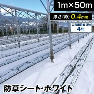 防草シート 0.75m×100m 農用シート 草よけ 除草 遮熱 地熱 抑制 高耐久