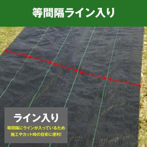 防草シート 2m×100m 農用シート 除草 ...の詳細画像3
