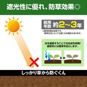 防草シート 2m×100m 農用シート 除草 ...の詳細画像2