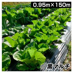 Kmaster 農業用マルチシート 農ポリ 黒マルチ 0.95×200m 1巻1組 農用