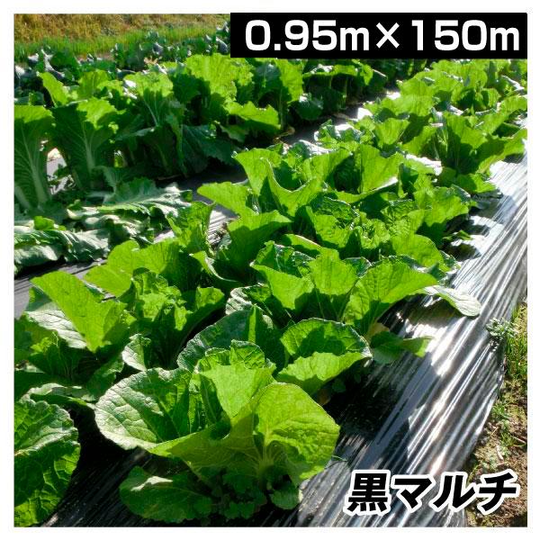 農業用マルチシート 農ポリ 黒マルチ 0.95×150m 1巻 農用 マルチ マルチング 被覆資材 ...