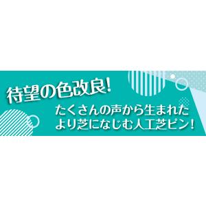 国華園 人工芝ピン 50本組 人工芝 押さえ ...の詳細画像2