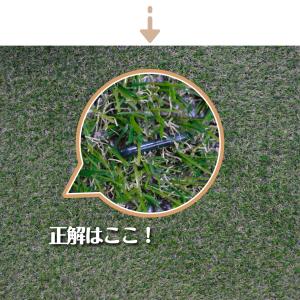 国華園 人工芝ピン 50本組 人工芝 押さえ ...の詳細画像5