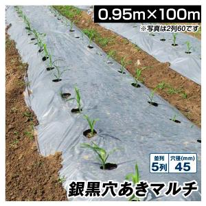 農業用マルチシート 農ポリ 銀黒穴あきマルチ 5列45 0.95×10m 1