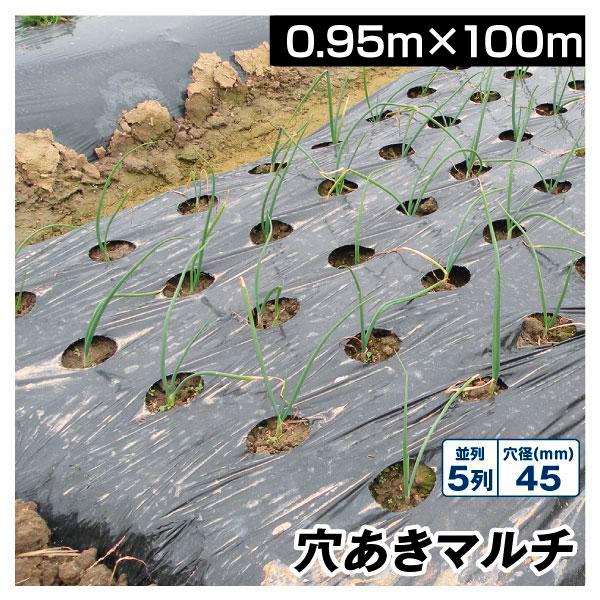 農業用マルチシート 農ポリ 黒穴あきマルチ 5列45 0.95×100m 1巻 農用 マルチ マルチ...