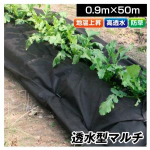 農業用マルチシート 穴あき防草マルチ 2列60 1×50m 1巻1組 農用