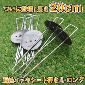 国華園 防草シート ピン 亜鉛メッキシート押さ...の詳細画像1