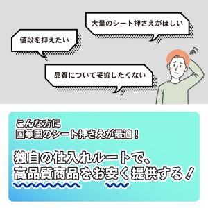 国華園 防草シート ピン 亜鉛メッキシート押さ...の詳細画像3