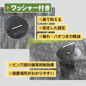 国華園 防草シート ピン 亜鉛メッキシート押さ...の詳細画像5