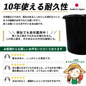 国華園 プレミアム鉢 8号 5個 日本製 プラ...の詳細画像4