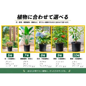 国華園 プレミアム鉢 8号 5個 日本製 プラ...の詳細画像2