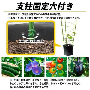 国華園 プレミアム鉢 8号 5個 日本製 プラ...の詳細画像5