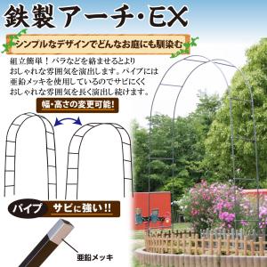 国華園 即納 アーチ 鉄製 アーチEX 黒 2...の詳細画像2