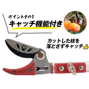 高枝切りバサミ 最長3m 剪定鋏 超軽量 伸縮...の詳細画像3