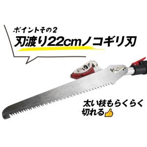 高枝切りバサミ 最長3m 剪定鋏 超軽量 伸縮...の詳細画像4