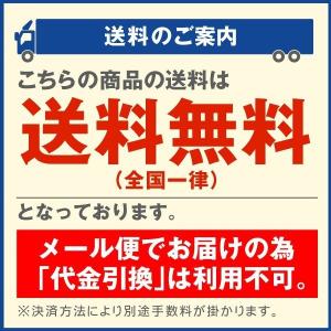 国華園 21V共通バッテリーK01 バッテリー...の詳細画像1