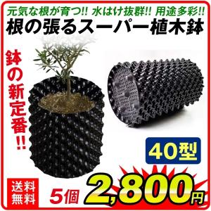 鉢 植木鉢 置き場 プランター 根の張るスーパー植木鉢 40型 5個組｜kokkaen