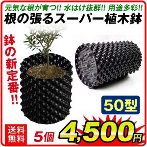 鉢 植木鉢 置き場 プランター 10号 根の張るスーパー植木鉢 30型 10個