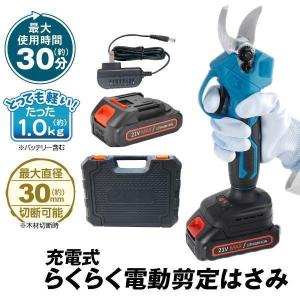 充電式 電動ハサミ 電動 剪定ばさみ バッテリー・充電器付 21V 電動 剪定鋏 コードレス 断直径30mm マキタバッテリー互換 庭木 枝切り ガーデニング 国華園｜花と緑 国華園