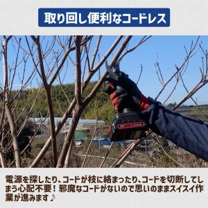 国華園 即納 電動剪定ばさみ 充電式 マキタ ...の詳細画像5