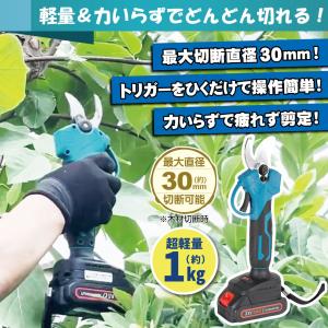 国華園 即納 電動剪定ばさみ 充電式 マキタ ...の詳細画像2