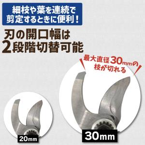 国華園 即納 電動剪定ばさみ 充電式 マキタ ...の詳細画像4