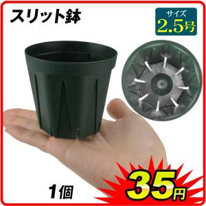 鉢 スリット鉢２．５サイズ 1個 国華園