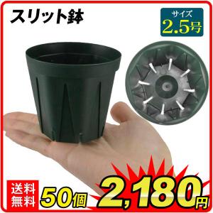 国華園 まめ盆栽鉢 匠 7種 （1箱4〜6個入り） ミニ鉢 豆鉢 おしゃれ