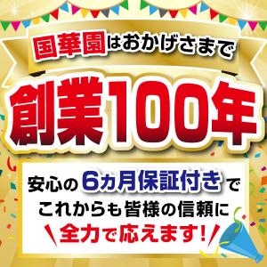 国華園 即納 スパイラルホース 1個 15m ...の詳細画像1