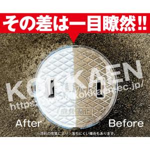 国華園 即納 高圧洗浄機 コードレス 充電式 ...の詳細画像3