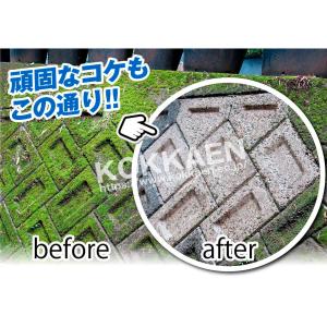 国華園 即納 高圧洗浄機 コードレス 充電式 ...の詳細画像4