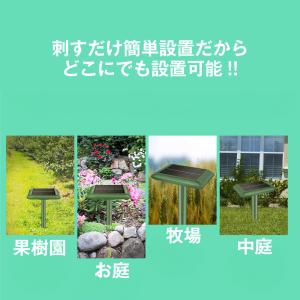 国華園 動物よけ 強力 モグラ逃げ〜る 2本セ...の詳細画像1