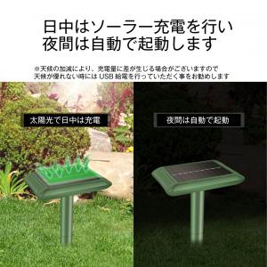 国華園 動物よけ 強力 モグラ逃げ〜る 2本セ...の詳細画像2