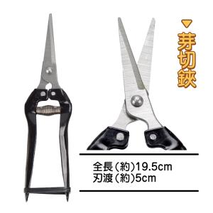 園芸グッズ3点セット 剪定鋏 芽切鋏 ノコギリ...の詳細画像3