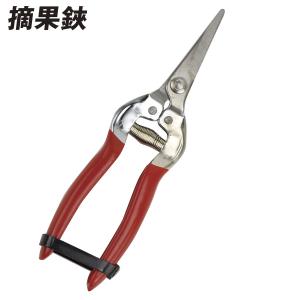 国華園 摘果鋏 1個 果樹用 はさみ 園芸用 ガーデニング 作業用 果実収穫 用具