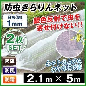 防虫ネット 防虫きらりんネット(1mm) 2.1m×10m 1枚組 家庭菜園