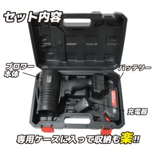国華園 ブロワ 充電式 ブロア 小型 軽量 お...の詳細画像4