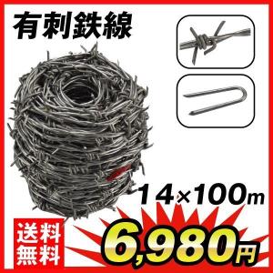 有刺鉄線 #16×20m 直径1.5〜1.6mm 鉄製 ステープル 止め釘付 国華園