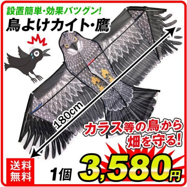 鳥よけ カラスよけ カラス対策 凧 鳥よけカイト 鷹 1個 国華園
